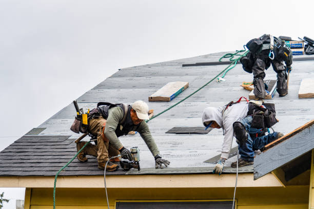 Professional Gutter Installation technician working in Trezevant, TN